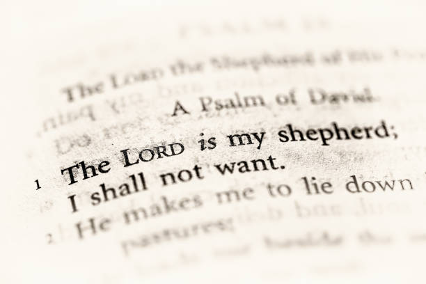 Psalm23